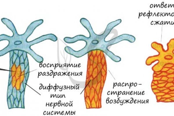 Блэк спрут телеграф